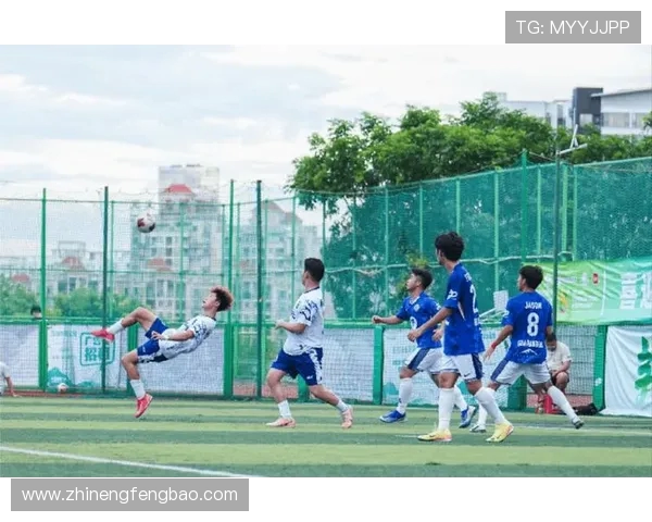 绿茵争锋荣耀之路从草根到巨星的足球梦想与激情 绿茵争锋荣耀之路从草根到巨星的足球梦想与激情