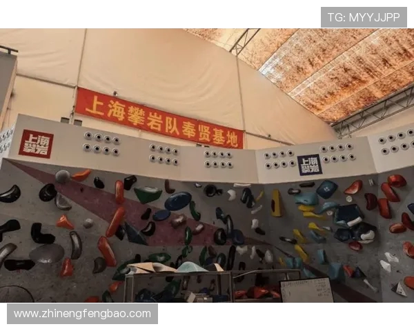 上海攀岩队在世界滑板锦标赛中的比赛经验与表现分析