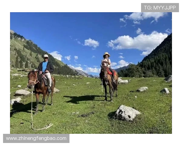 上海飞盘队的节奏解析与战术创新探索之旅