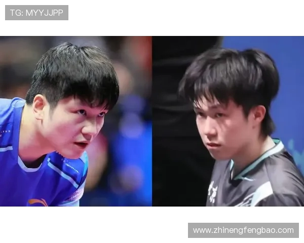 乒乓球盛宴：深入杭州乒乓球队的训练与比赛节奏探索