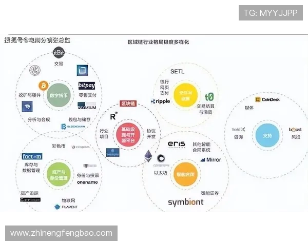 成都乒乓球队整体压制革新之路探索与未来发展展望