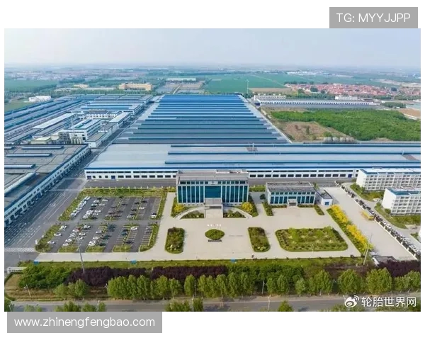 成都篮球队转型之路：从传统强队到现代竞技新标杆的深度解析