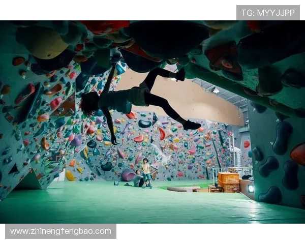 攀岩深度解析：上海攀岩队如何构建高效区域防守体系