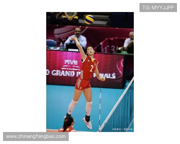 杨强专访：从青涩少年到排球传奇的成长之路回顾